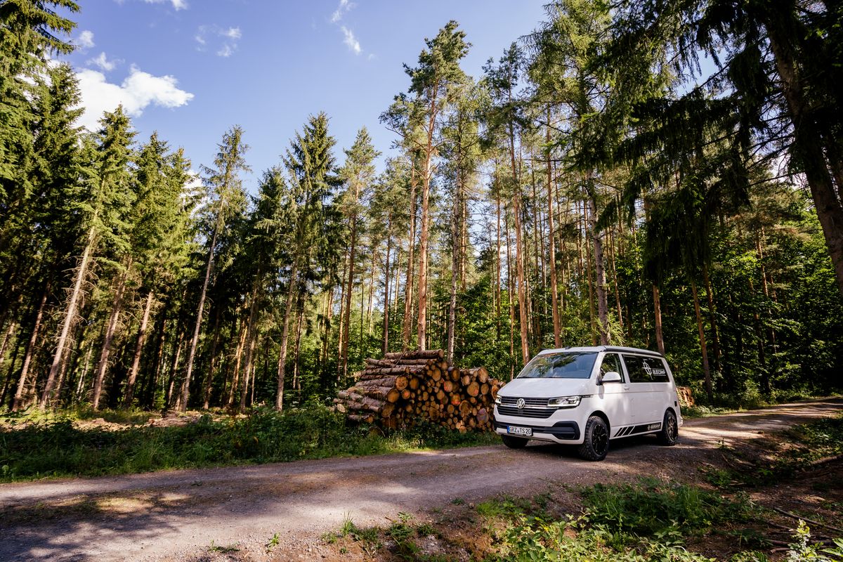 VW T6.1 mit Aufstelldach auf einem Waldweg vor Holzstapeln und hohen Kiefern, aus der Ferne fotografiert
